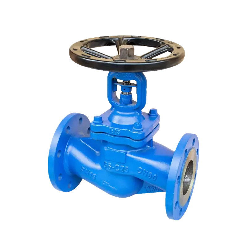 Globe Valve
