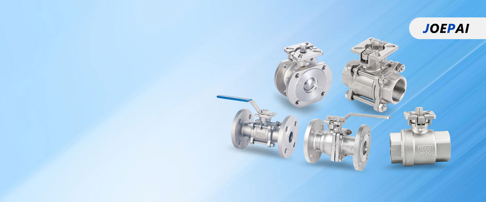 Casted Gate Globe Check Valve