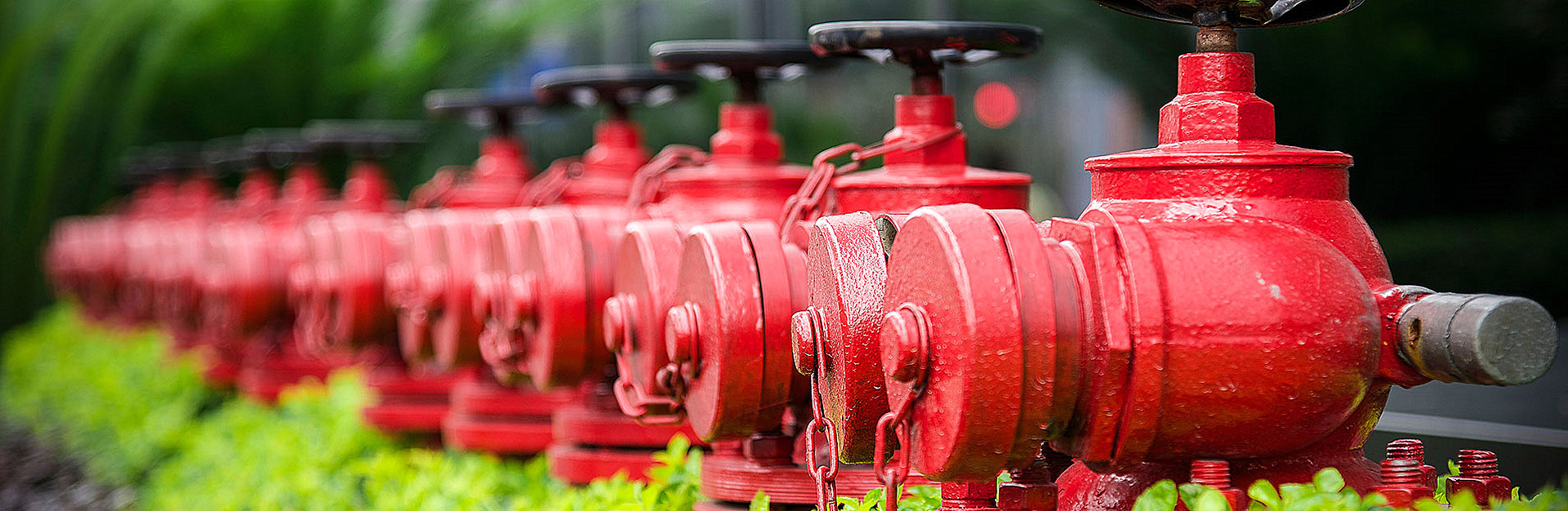 Fire Valves