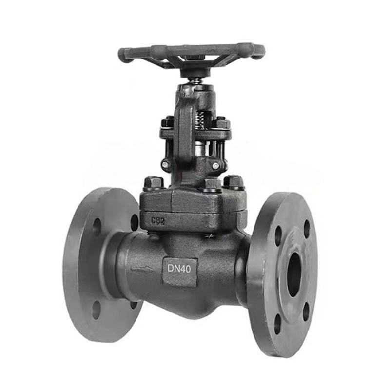 Globe Valve