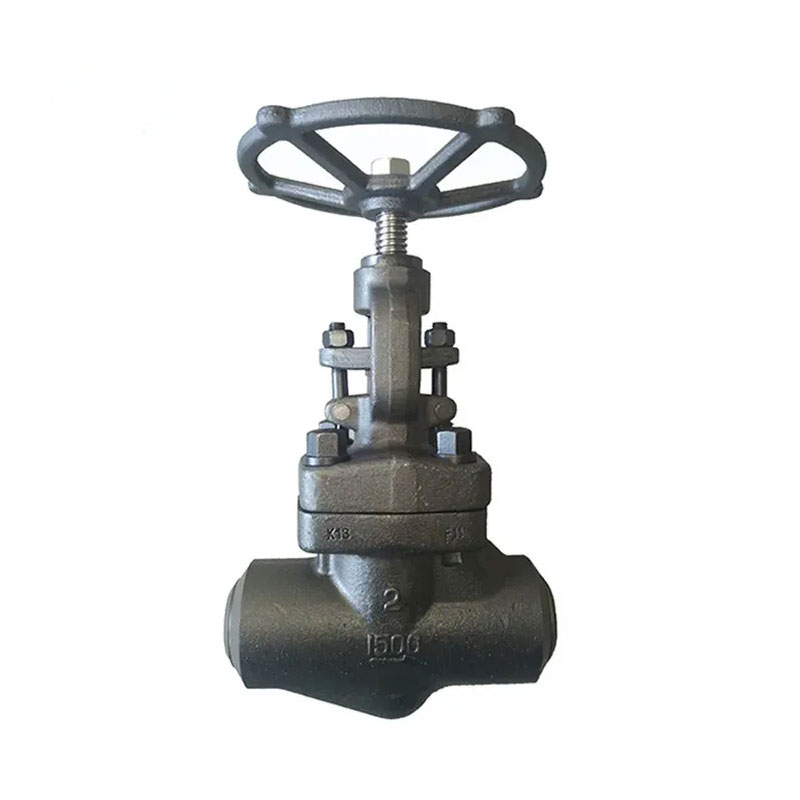 Butt Weld A105 Forged Steel Globe Valve