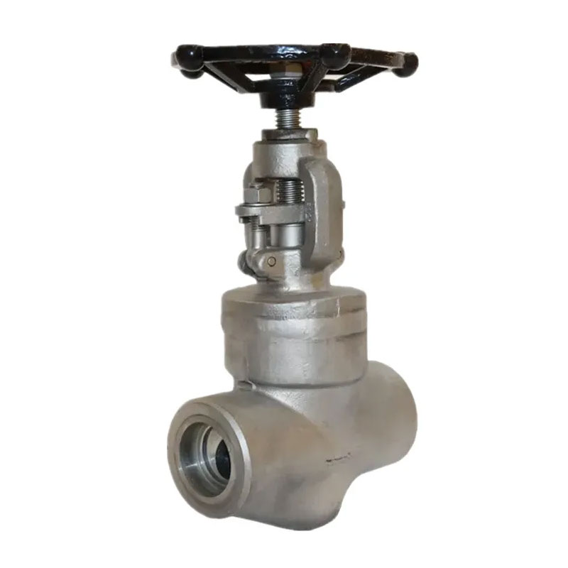 Stainless Steel Socket Welded Bonney Forge Globe Valve