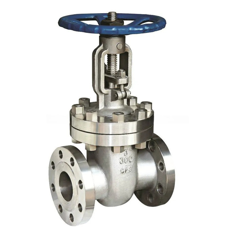 Cast Steel Wedge Gate Valve