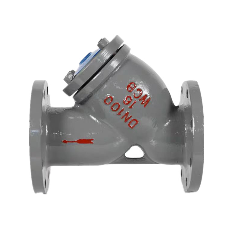 Din Pn16 Flanged Carbon Steel Y Type Strainer