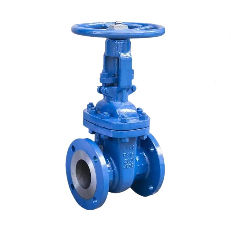 GS-C25 WCB Steel DIN Flanged Gate Valve PN16