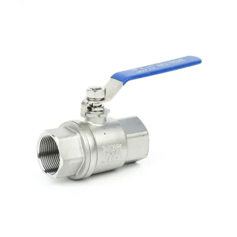 DIN 2PC Stainless Steel Female Threaded Ball Valve