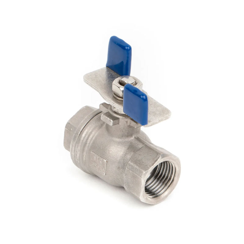 Stainless Steel Threaded 2-PC Ball Valve