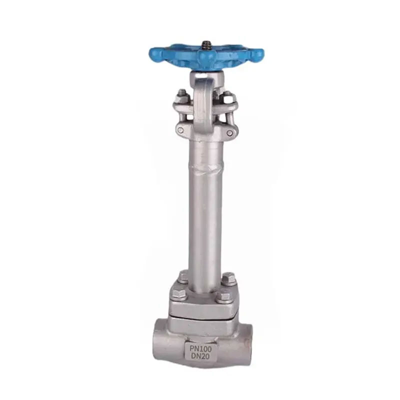 Low Temperature Forged Cryogenic Gate Valve