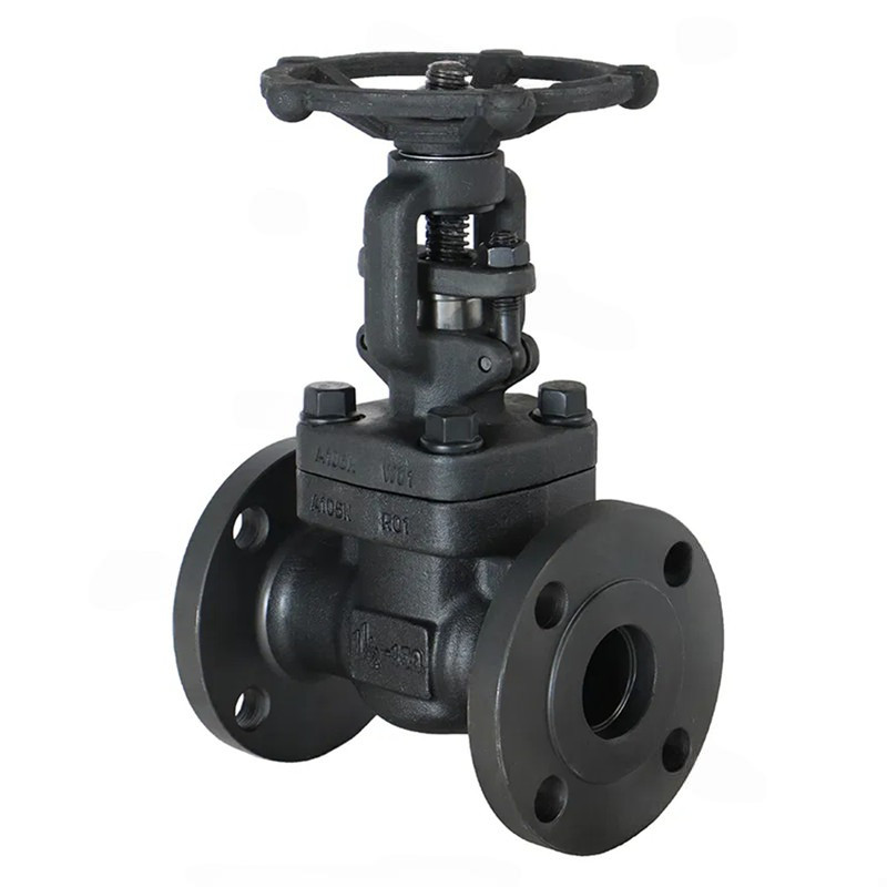 Integrated Forged Steel Flange Gate Valves