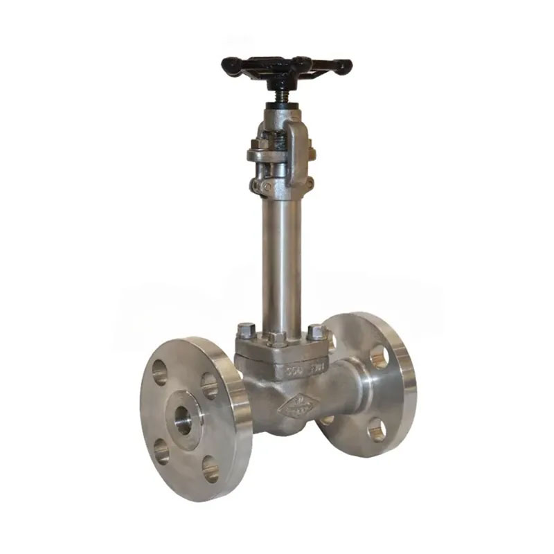 Low Temperature Forged Cryogenic Gate Valve